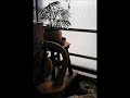Video screenshot