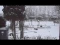 winter.wmv