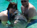 Dolphin Encounter