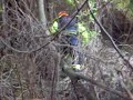 rescate canino UCAS CHILE