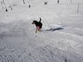 videos de nora fait une glissade dans la neige