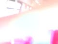 los pandrosos en el tren ligero haciendo mamada y media