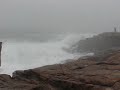 Acadia Waves