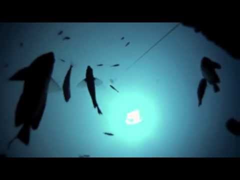 Free diving the Naked Lady! | Go Outside