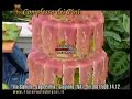 Complesso Dei Pini Complesso Dei Pini