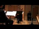 Vivaldi Bassoon Concerto \"La Notte\" [The Night] part 2