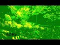LOUD & QUIET TEST