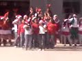 COBACH 5