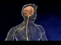 Educational Video about Nicotine Withdrawal
