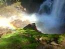 rainbo