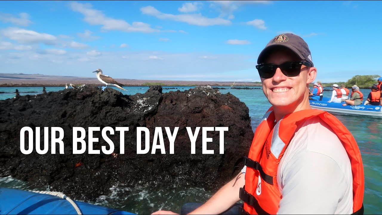 Our BEST Day Yet! | Sea Turtles, Snorkeling, and Orcas | Galápagos LUXURY Cruise Day 4