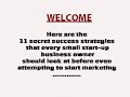 Small Business Is Risky Business Withou This Info..flv