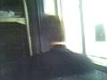 videos de snow day