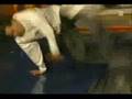 Fying Steps PRO7