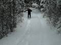 Montana Snow Run