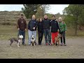 Pit Bull Argentina-NITRO de Lord Kennel