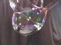 Magic Soap Bubble Solution Conc. ~ Bang Wool Co. ~ SK