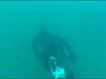 www.turkdivers.com
