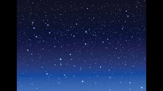動画1