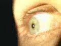 Underworld - moaner