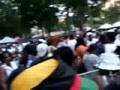 Joe Clausell @ Lincoln Park Music Festival