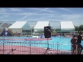 vinos y piscina.mp4