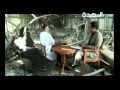 لقاء خاص - أ/عايدة بن عمر ، د/ إيمان أبو هادي