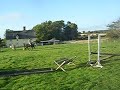 bobby - connemara jump 2 Zuzie Poskitt