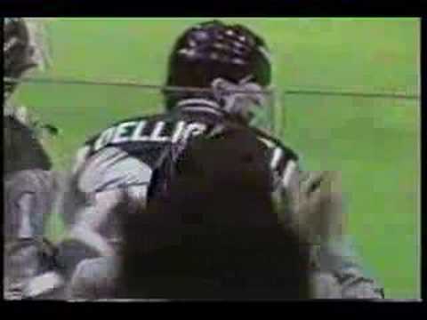 Nice Lacrosse Goal