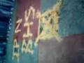 videos de QUEMA BURRO 2008-UDLA