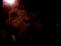 Billy le lion au Cap-Coz