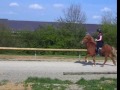 Farvidri von Landefeld 2 Farvidri von Landefeld 2
