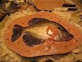 Molding a White Crappie with fiberglass resin. part 2