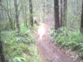Honda TRX450 Rules!!!!!!! Riding in Oregon