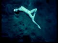 mermaids-at-weeki-wachee-springs.html