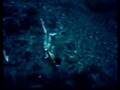 Mermaids at Weeki Wachee Springs