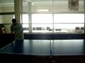 videos de pin-pon