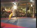 videos de qi xing quan
