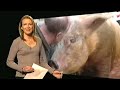 BBC News - 8pm Summary 2008 - Celina Hinchcliffe