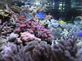 Coral Maternity in Portugal