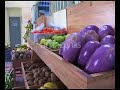 canarias emigración: canarios en puerto rico  islas canarias