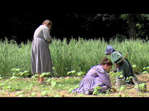 Lil' Abe - Agricultural Haven See video