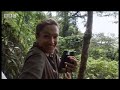 Mother and baby bats in the wild - Unknown Africa - BBC wildlife