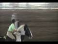 Seamus jumping in the Steuart Pittman Event Clinic