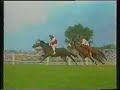 Palio di Legnano 1987