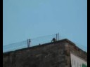 Člani in pridruženi člani društva Morigenos.org na terenskem opazovanju delfinov. Tokrat žal ni bilo sreče. Delfinov nismo videli.