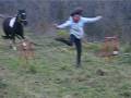 Saut d'obstacle en liberter