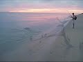 Dances with Needlefish