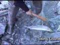 Chitina Salmon Dipnetting