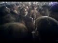Video-00,,